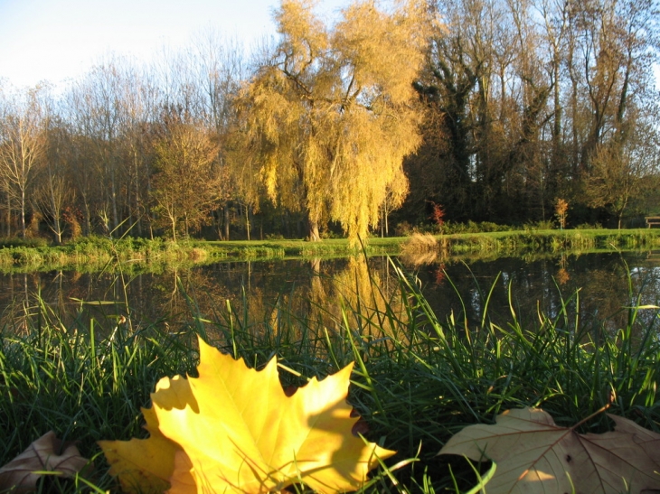 Etang de Pithiviers le vieil - Pithiviers-le-Vieil