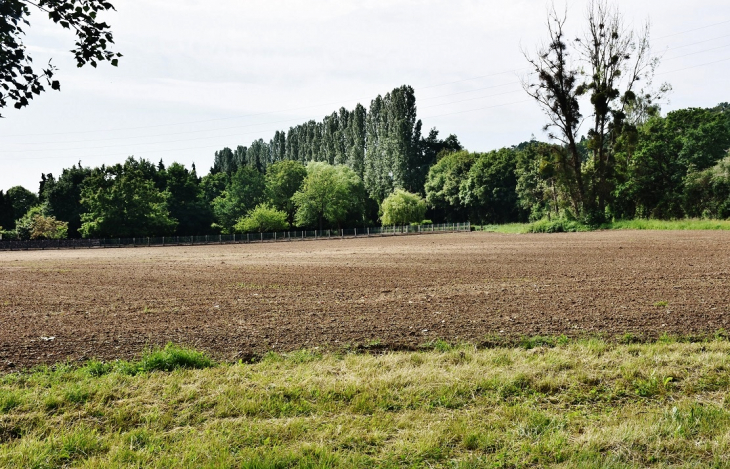 La Commune - Saint-Firmin-sur-Loire