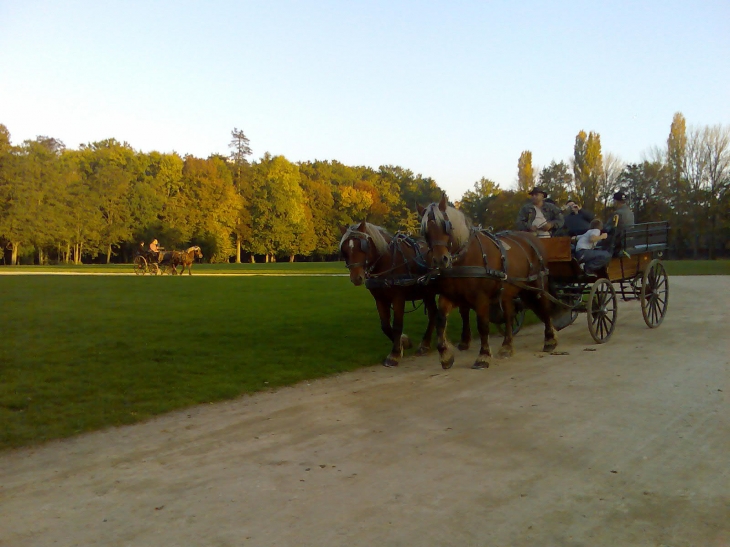 Promenades dans le parc du Chateau - Sully-sur-Loire