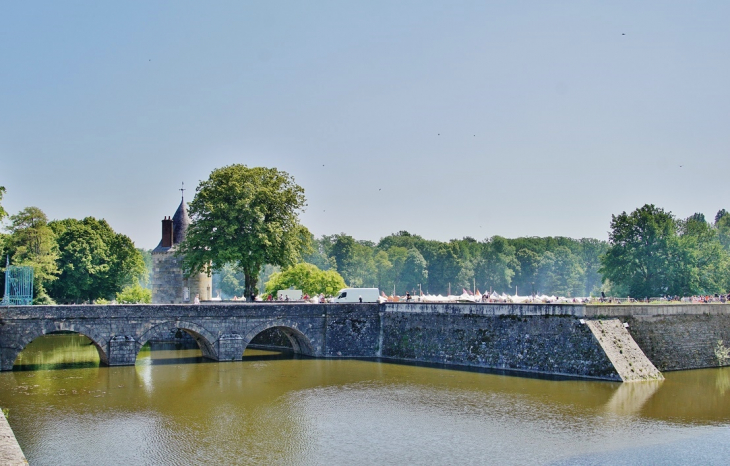  Château-de-Sully - Sully-sur-Loire