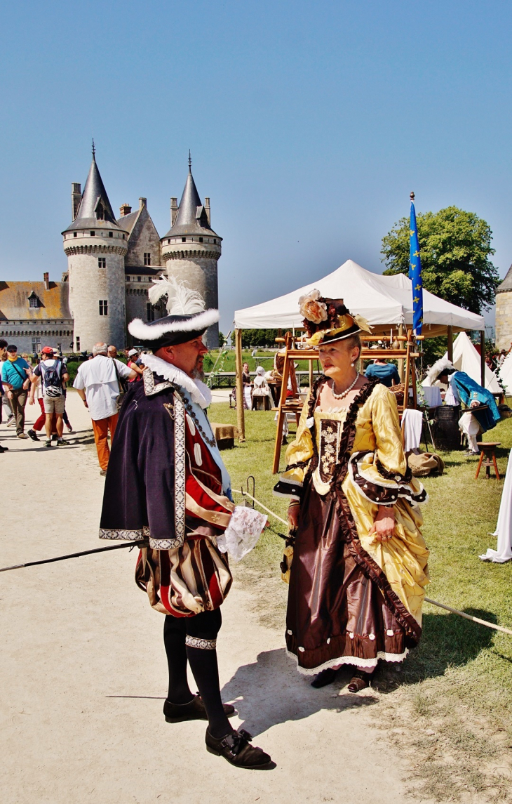  Château-de-Sully ( animation dans le parc ) - Sully-sur-Loire