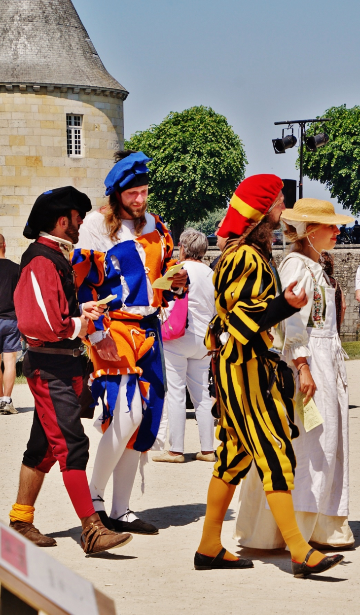  Château-de-Sully ( animation dans le parc ) - Sully-sur-Loire