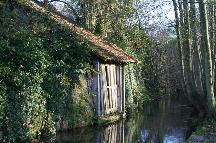 Lavoir de la Guizarde - Tavers