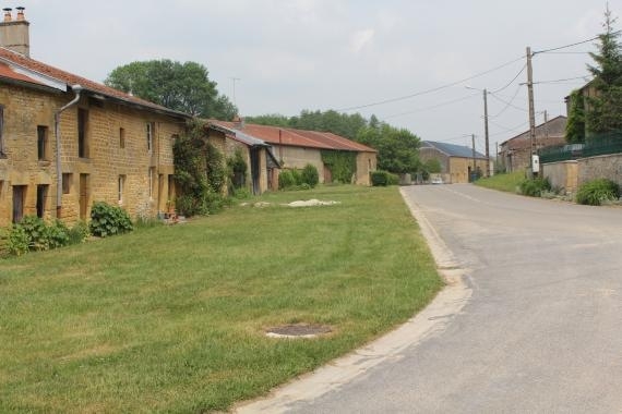 Rue Barrée - Autruche