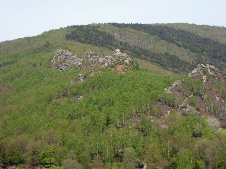 Les 4 fils Aymon vus du rocher  de l'Hermitage - Bogny-sur-Meuse