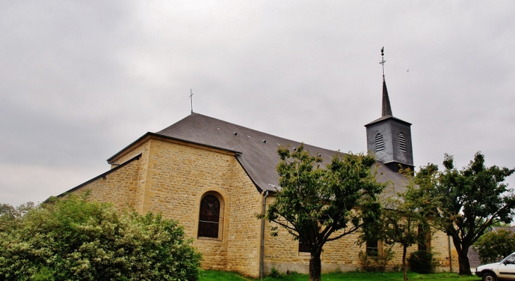 ::église Saint-Remy - Damouzy