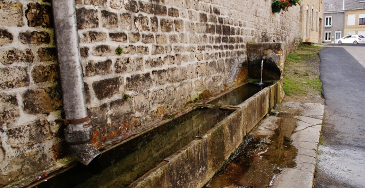 Fontaine - Dom-le-Mesnil