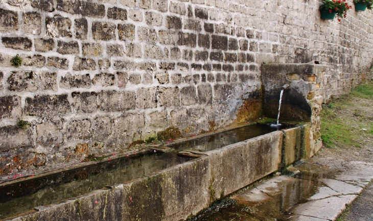 Fontaine - Dom-le-Mesnil