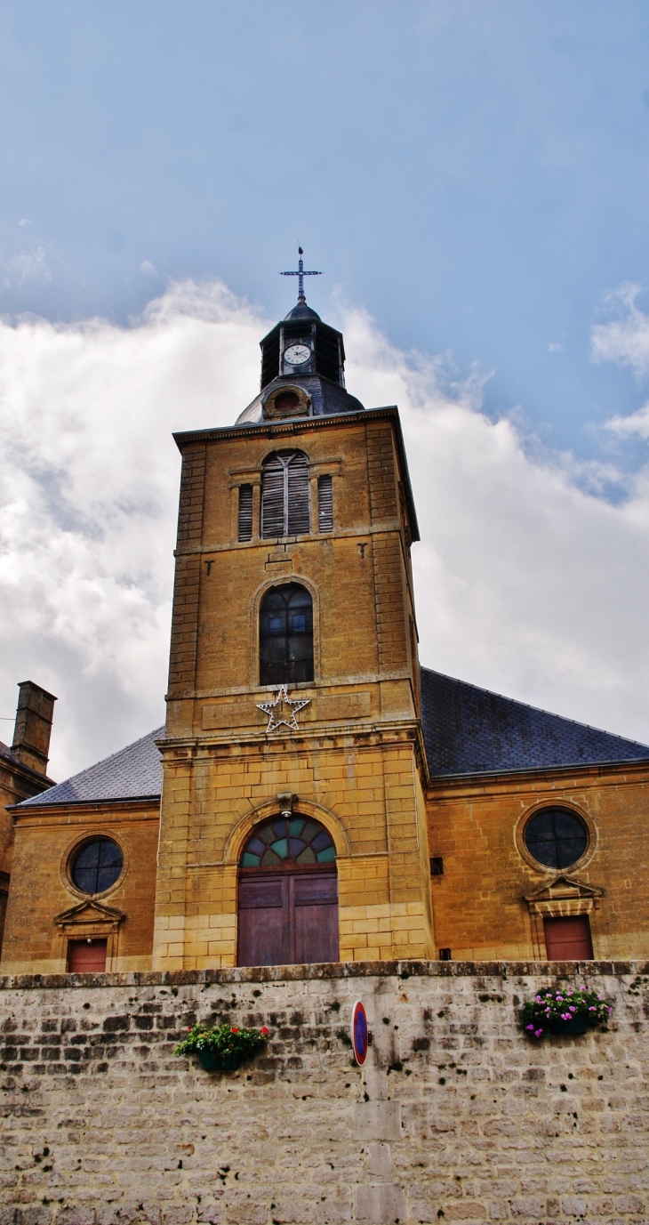 -église Saint-Martin - Dom-le-Mesnil