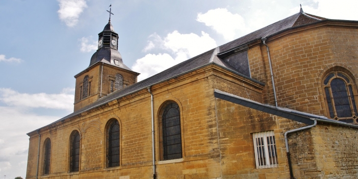 -église Saint-Martin - Dom-le-Mesnil