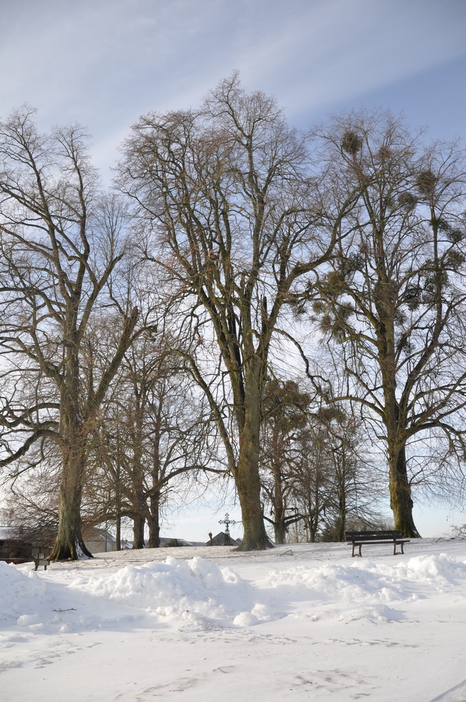 Le Calvaire sous la neige - Dommery