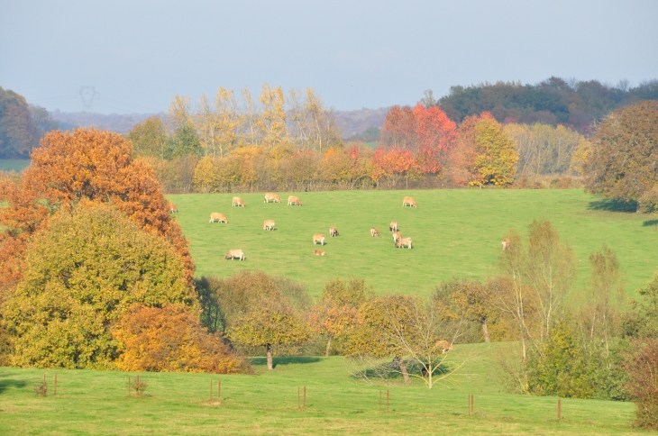 En direction du Tarn - Dommery