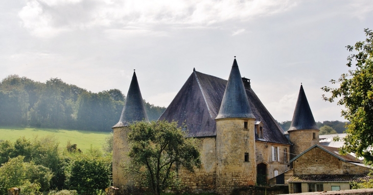 Le Château - Élan