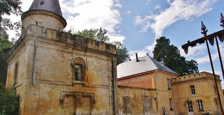 Le Château - Étrépigny