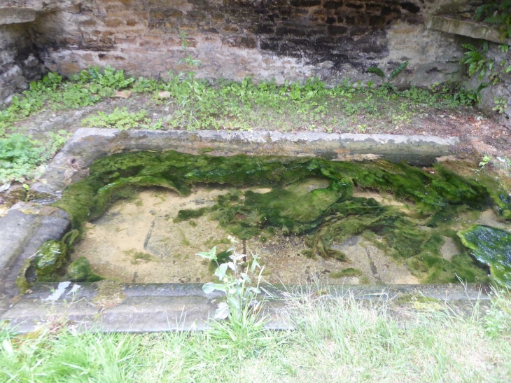 Le vieux lavoir - Girondelle