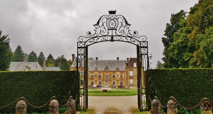 Grille du Château - Guignicourt-sur-Vence