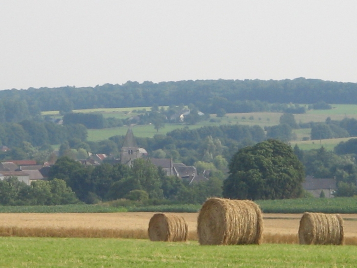 Clocher vu du chemin de Signy - Hannappes