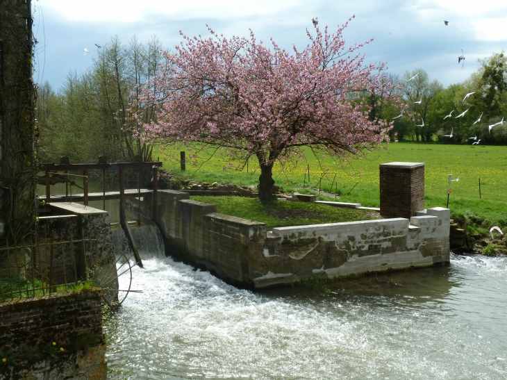 Les vannes du moulin en Mai... - Hannappes