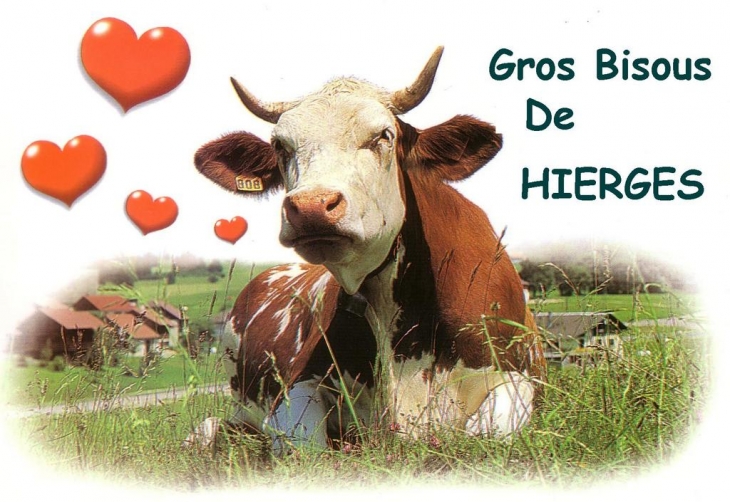 Vache Heureuse !!! - Hierges