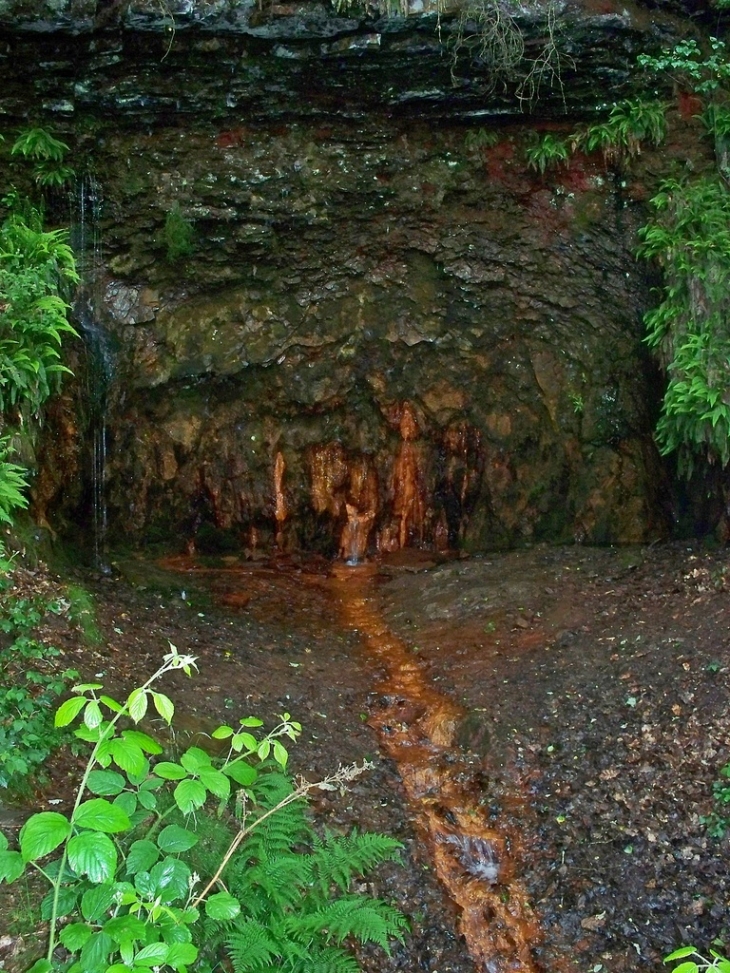 La source ferrugineuse - Laifour