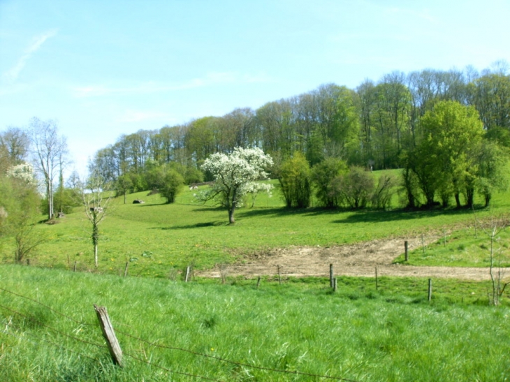 Paysage des alentours - Lametz