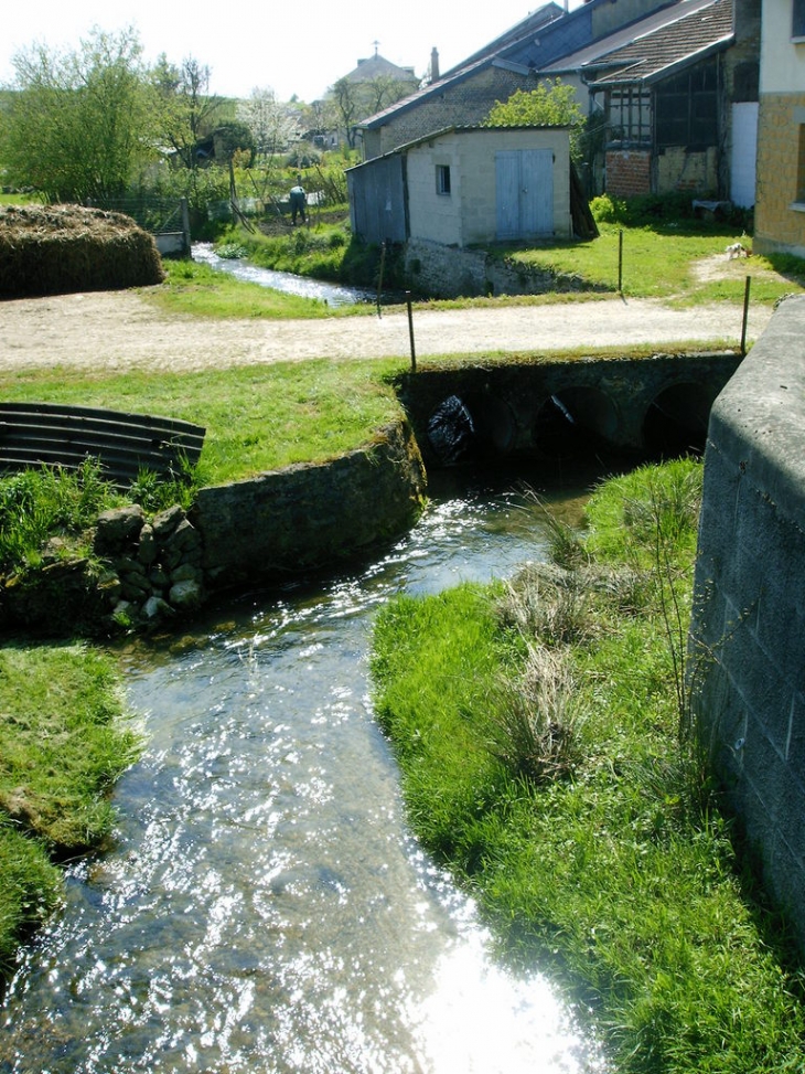 Le ruisseau qui traverce lametz