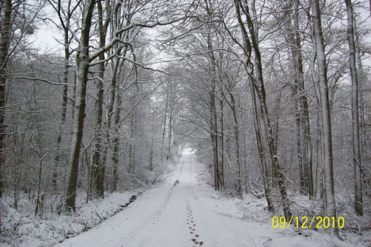 Lametz sous la neige