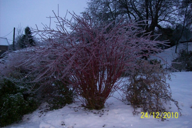 Lametz sous la neige