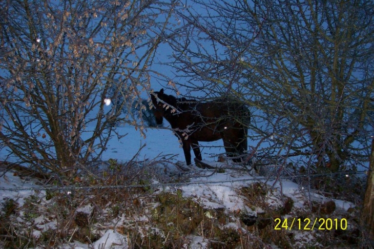 Lametz sous la neige