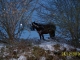 Lametz sous la neige