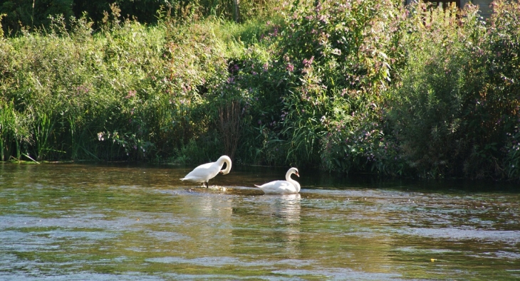 La Semoy - Les Hautes-Rivières