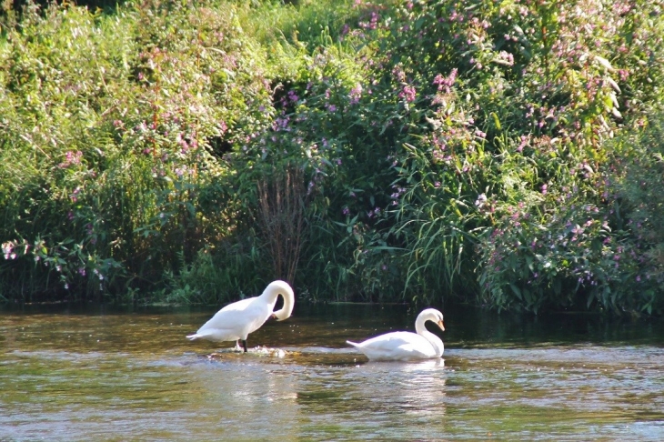 La Semoy - Les Hautes-Rivières