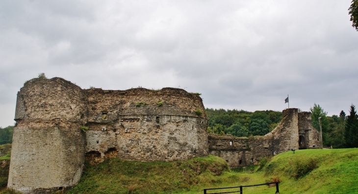 Ruines du Château - Montcornet