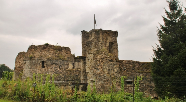 Ruines du Château - Montcornet