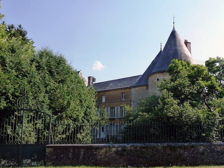 Le château - Montigny-sur-Vence