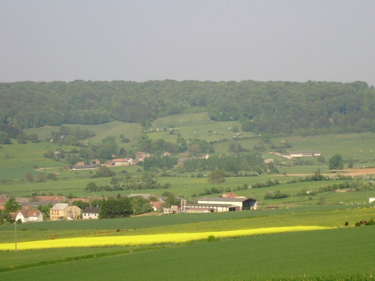 Omicourt (au fond) vue de la nationale