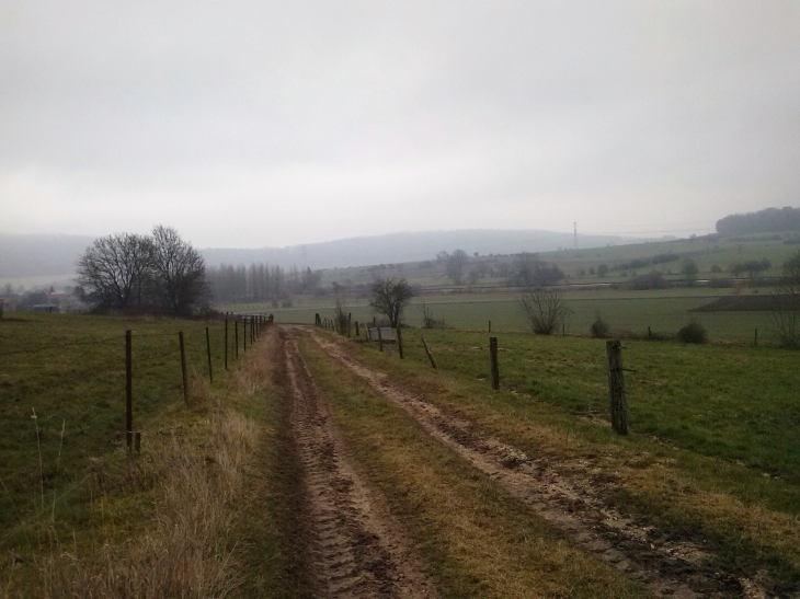 Chemin du calvaire - Omicourt