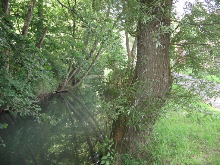 L'Aube rue des aisances de la rivière - Rumigny