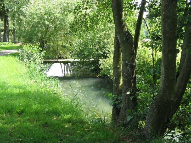 L'Aube rue des aisances de la rivière - Rumigny