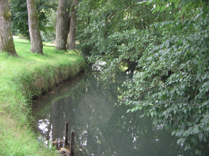 L'Aube rue des aisances de la rivière - Rumigny