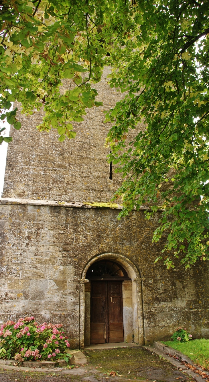 église St Aignan - Saint-Aignan