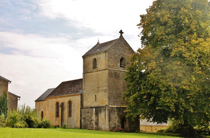 église St Aignan - Saint-Aignan