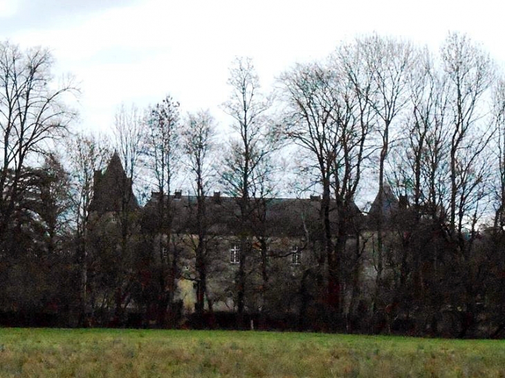 Un aperçu du château - Sapogne-sur-Marche