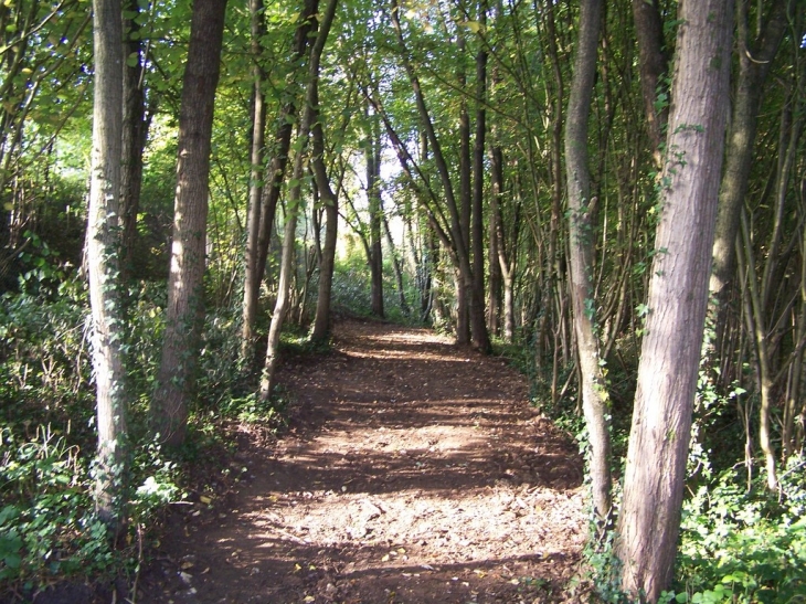 Ruelle de Ludri - Sury