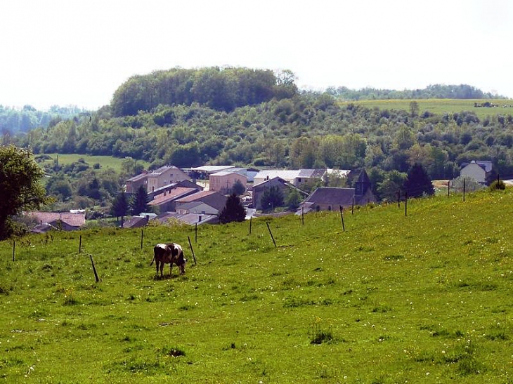 Vue sur le village - Vaux-Villaine