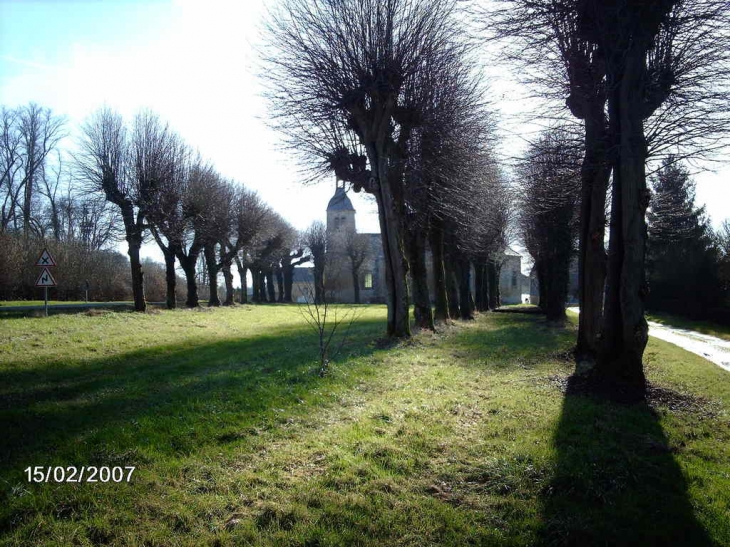 Les tilleuls et l'église de La Cassine - Vendresse