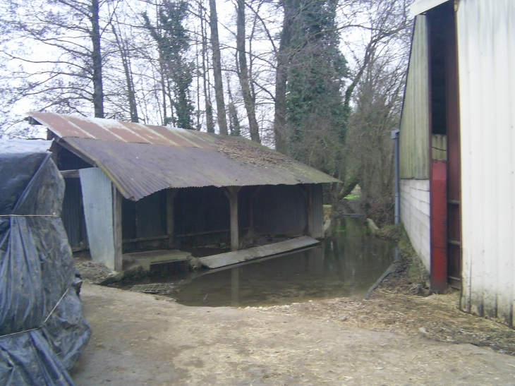 Le vieux lavoir du moulin - Vendresse