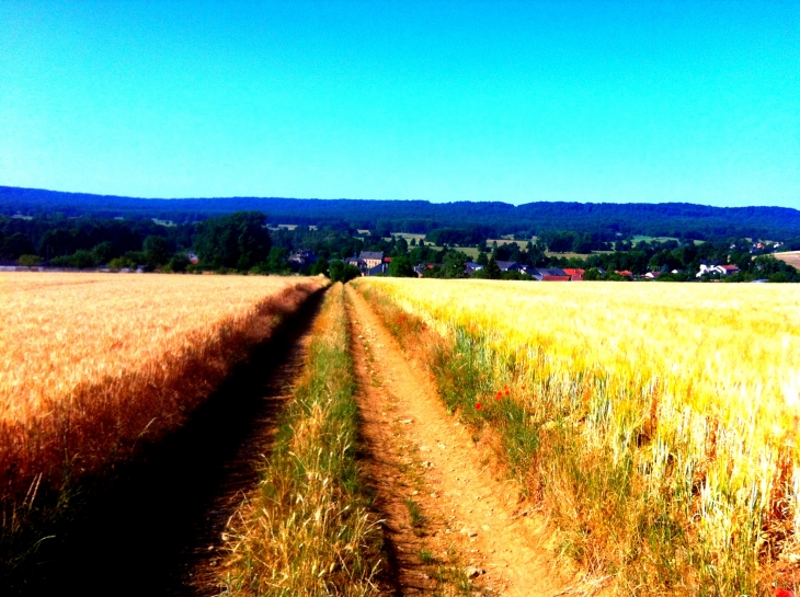 Vue sur VENDRESSE  du bois de la vierge