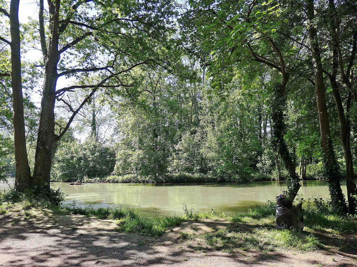 Un étang dans les bois - Barberey-Saint-Sulpice