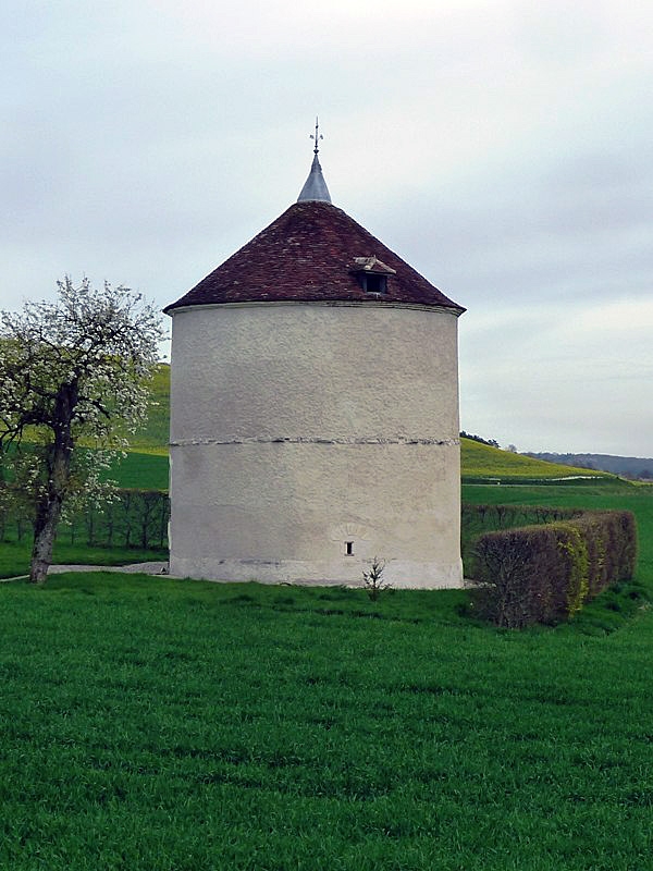 Le pigeonnier - Bucey-en-Othe